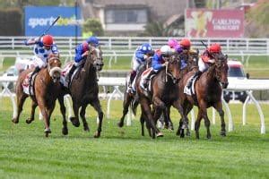 caulfield cup dividends